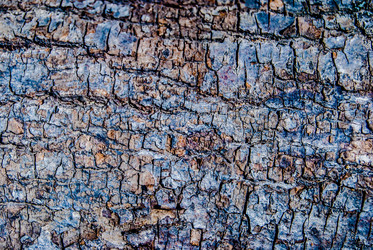 Similar image 7694525