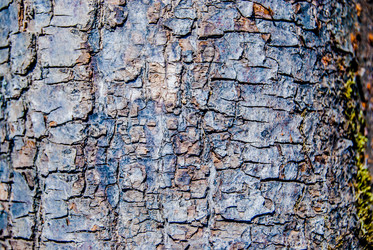 Similar image 7694526