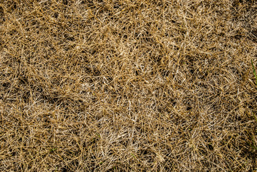 Similar image 7694534