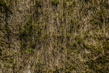 Similar image 7694536