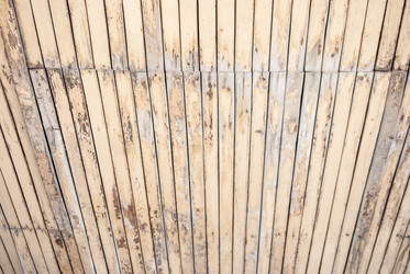 Similar image 7694538