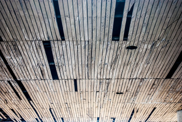 Similar image 7694541