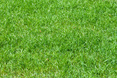 Similar image 7694550