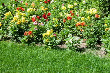 Similar image 7694551