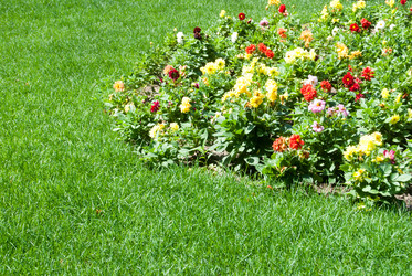 Similar image 7694552