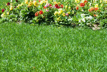 Similar image 7694553