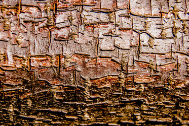 Similar image 7694558