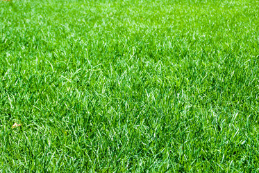 Similar image 7694559