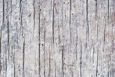 Similar image 7694562