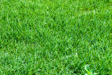 Similar image 7694565