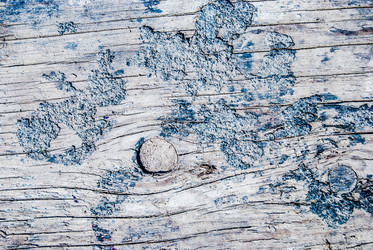 Similar image 7694566