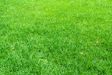 Similar image 7694567