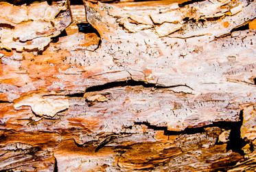 Similar image 7694568