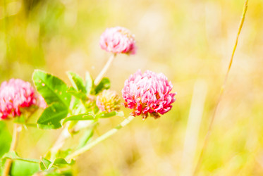 Similar image 7694569