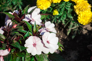 Similar image 7694570