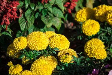 Similar image 7694572