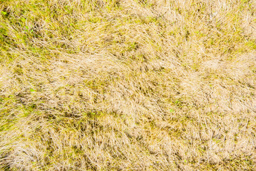 Similar image 7694573