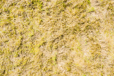 Similar image 7694574