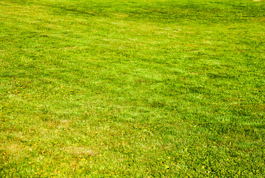 Similar image 7694577