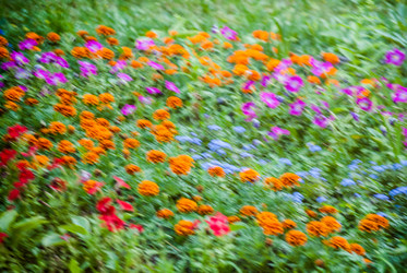 Similar image 7694579