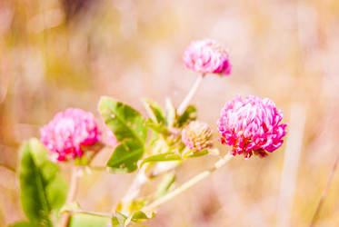 Similar image 7694581