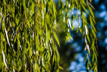 Similar image 7694582