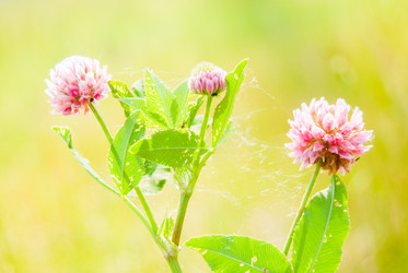 Similar image 7694583