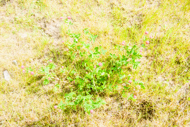 Similar image 7694585