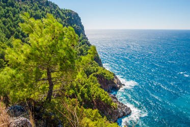 Similar image 7694586