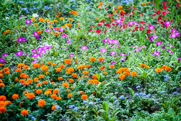 Similar image 7694587