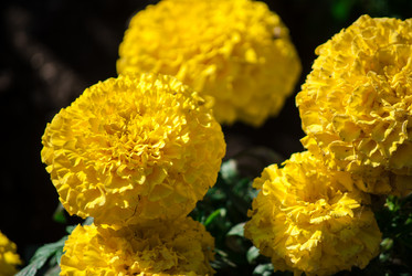 Similar image 7694588