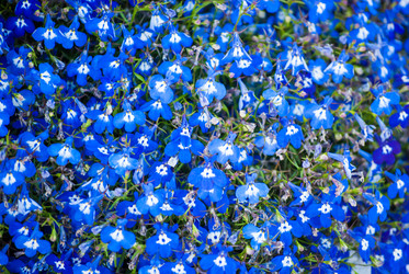 Similar image 7694590