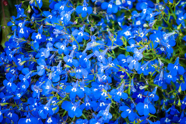 Similar image 7694591