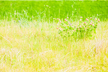 Similar image 7694592