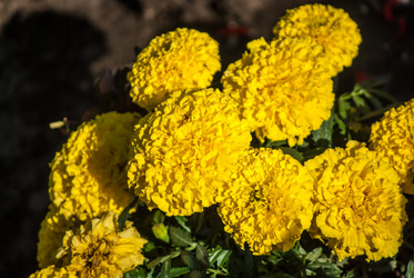 Similar image 7694594