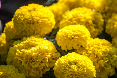 Similar image 7694595