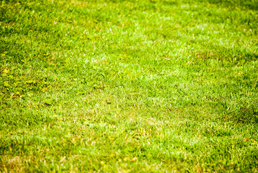 Similar image 7694602