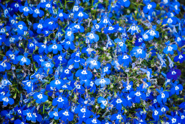 Similar image 7694605