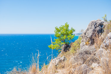 Similar image 7694608