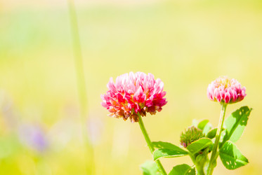 Similar image 7694617