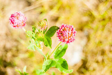 Similar image 7694622