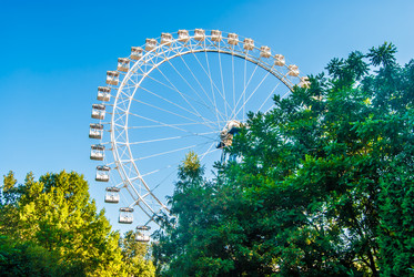 Similar image 7694635