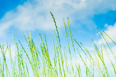 Similar image 7694663