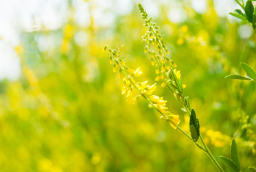 Similar image 7694897