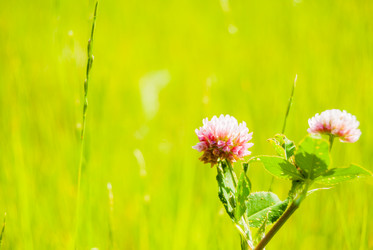 Similar image 7694898