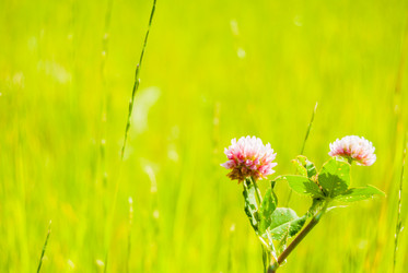 Similar image 7694899