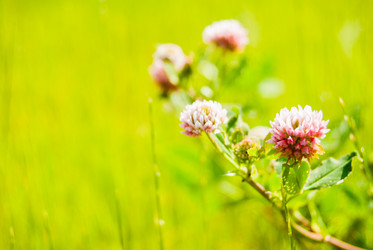 Similar image 7694901