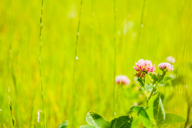 Similar image 7694903