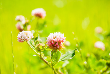 Similar image 7694908