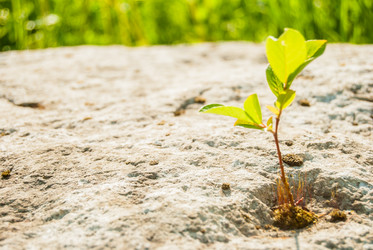 Similar image 7694910